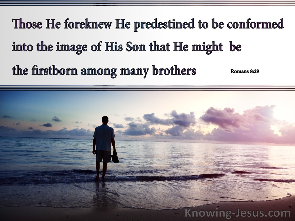 Romans 8:29 Those He Foreknew He Predestined : by God (devotional)12:02 (gray)